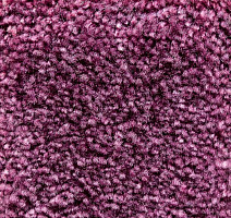 Ковролин AW Masquerade Gaudia 18 фото 1 | FLOORDEALER